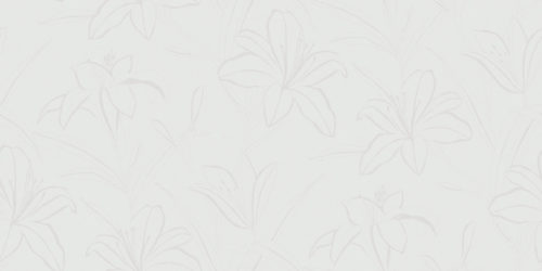 Graphic Lily  5324